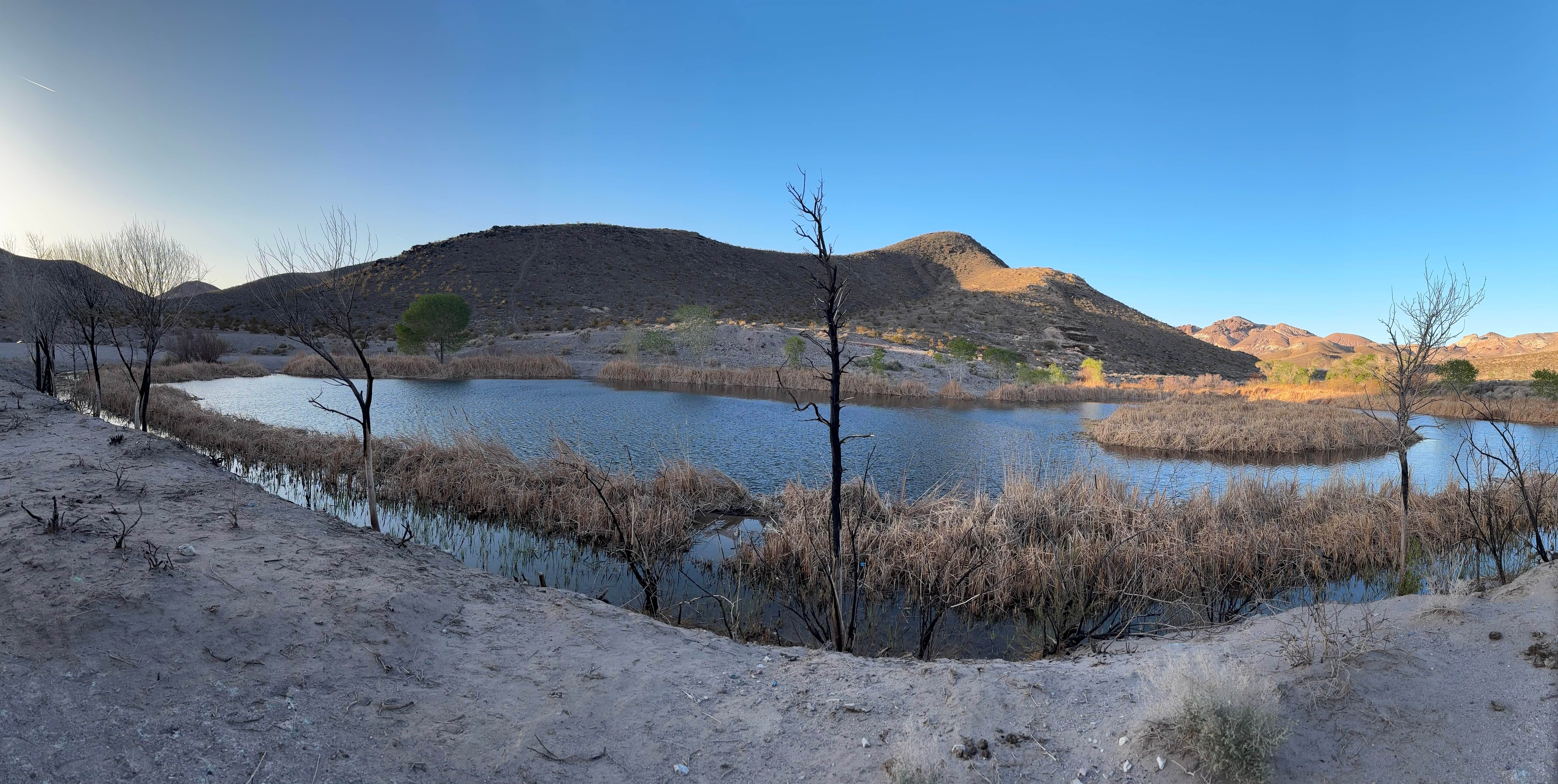 James W.'s photo of a dispersed camping area at Vanderbilt Pond Road near Beatty, NV