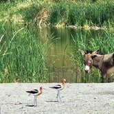 Review photo of Vanderbilt Pond Road by Letha F., June 9, 2024