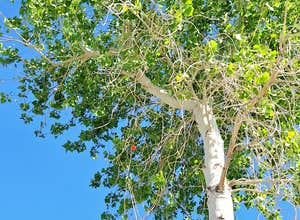 Vanderbilt Pond Road