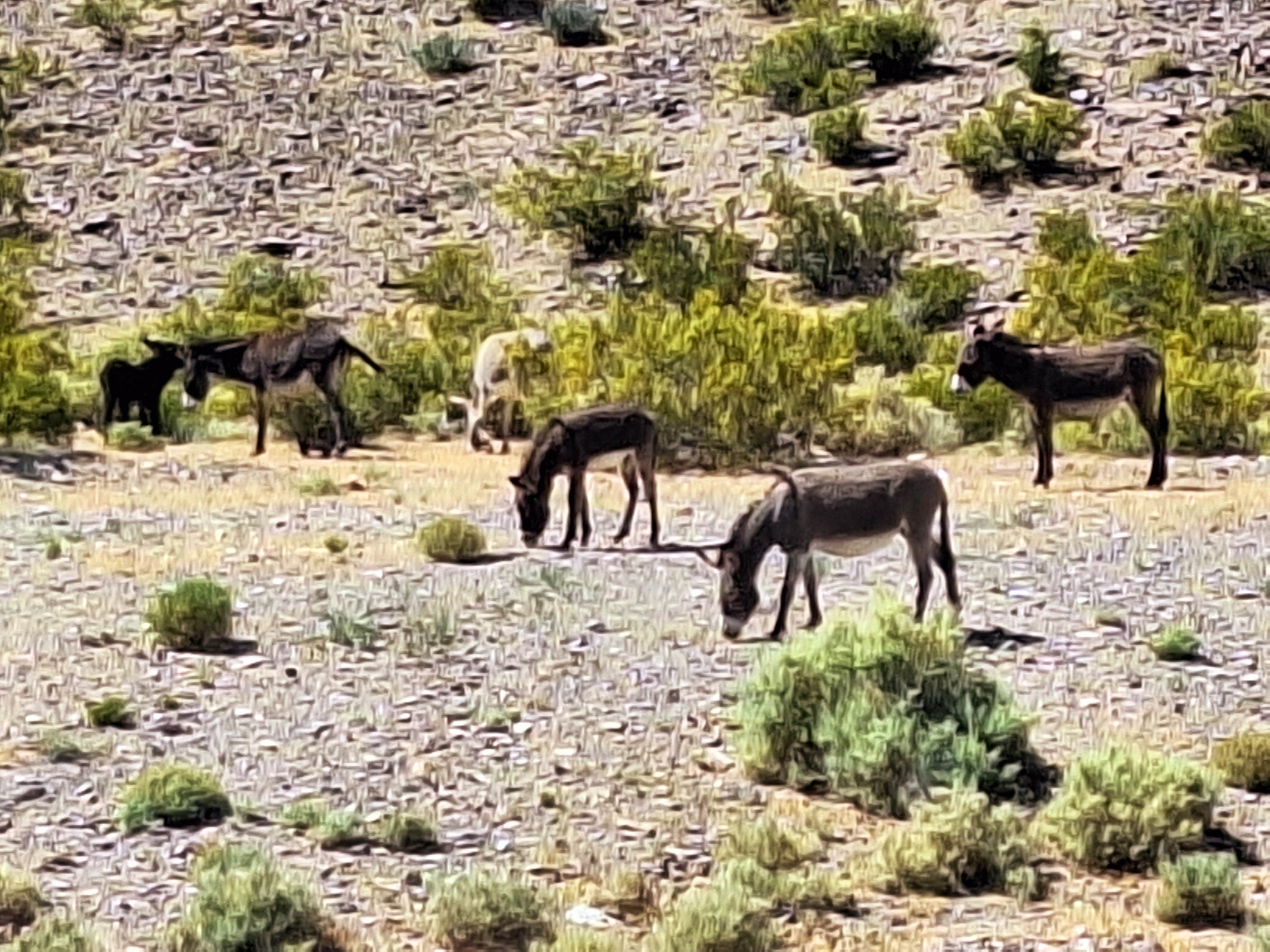Vanderbilt Pond Road