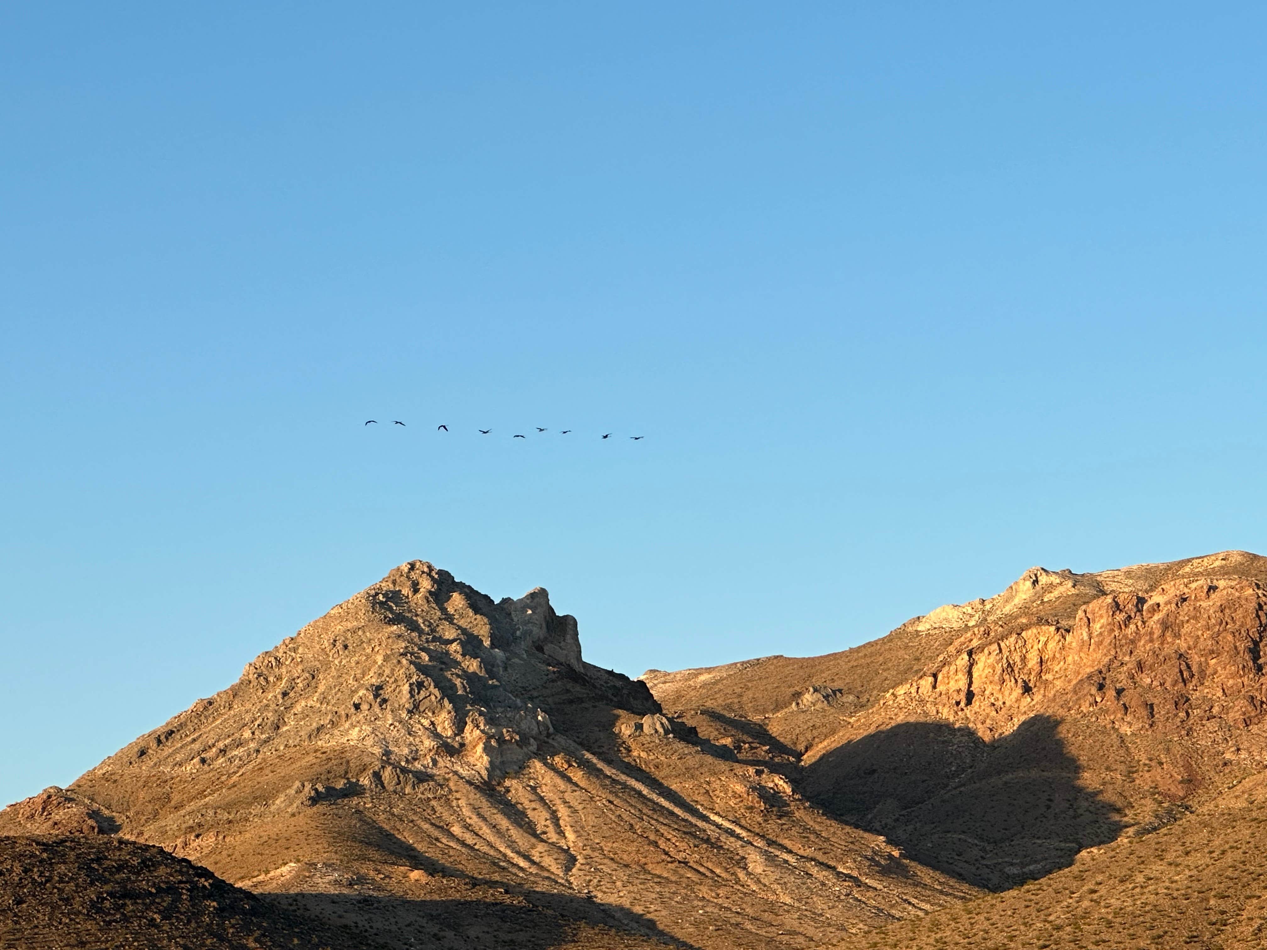 Camper-submitted photo at Vanderbilt Pond Road near Beatty, NV