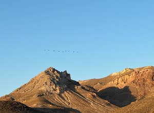 Vanderbilt Pond Road