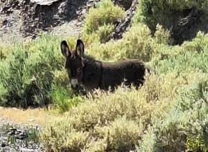 Vanderbilt Pond Road