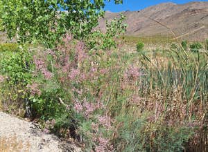 Vanderbilt Pond Road