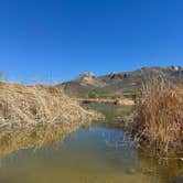 Review photo of Vanderbilt Pond Road by Kat P., March 10, 2026