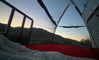 Scotti M.'s photo at Vanderbilt Rd. Dispersed near Beatty, NV