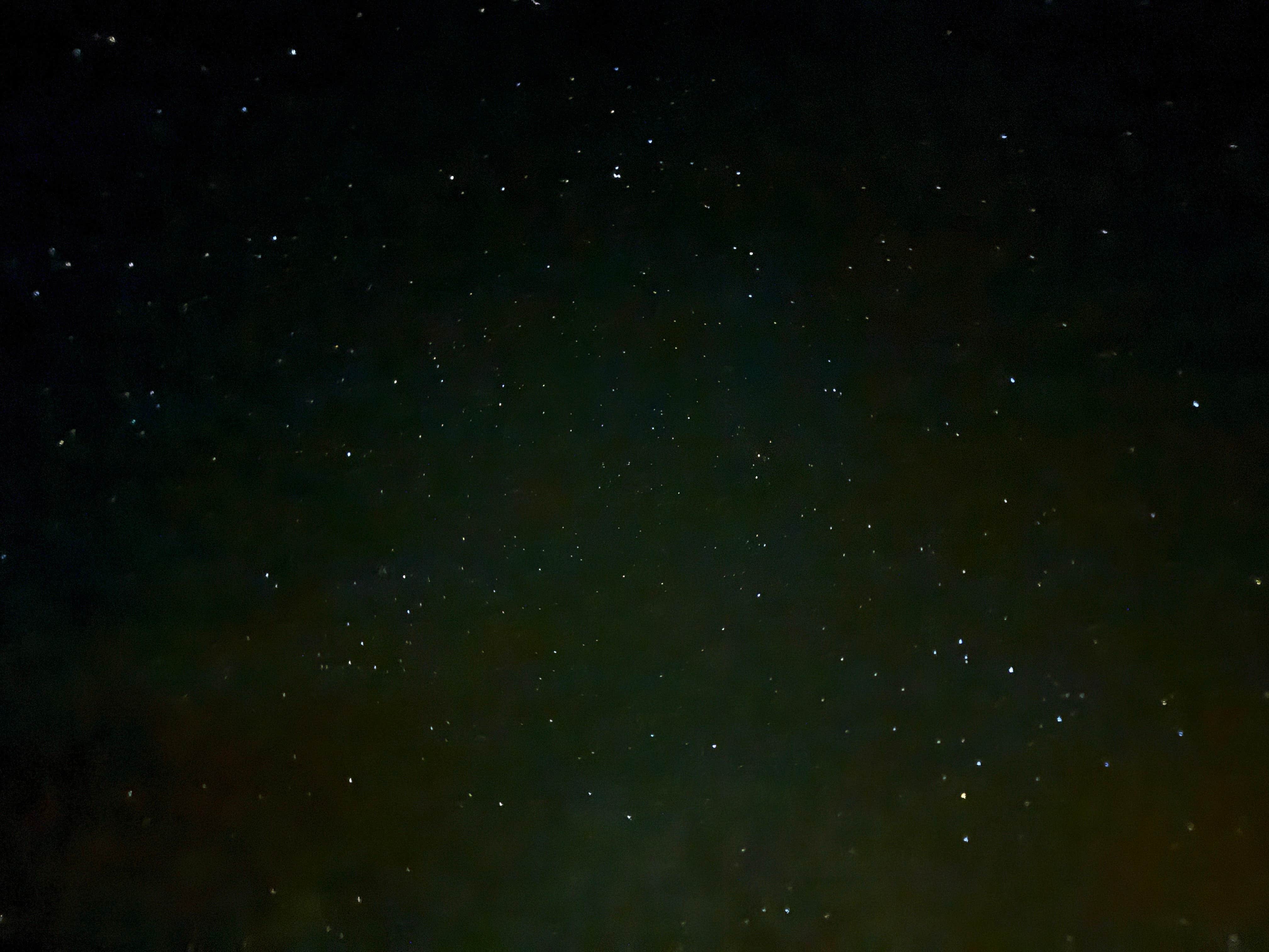 Camper-submitted photo at Vanderbilt Rd. Dispersed near Beatty, NV