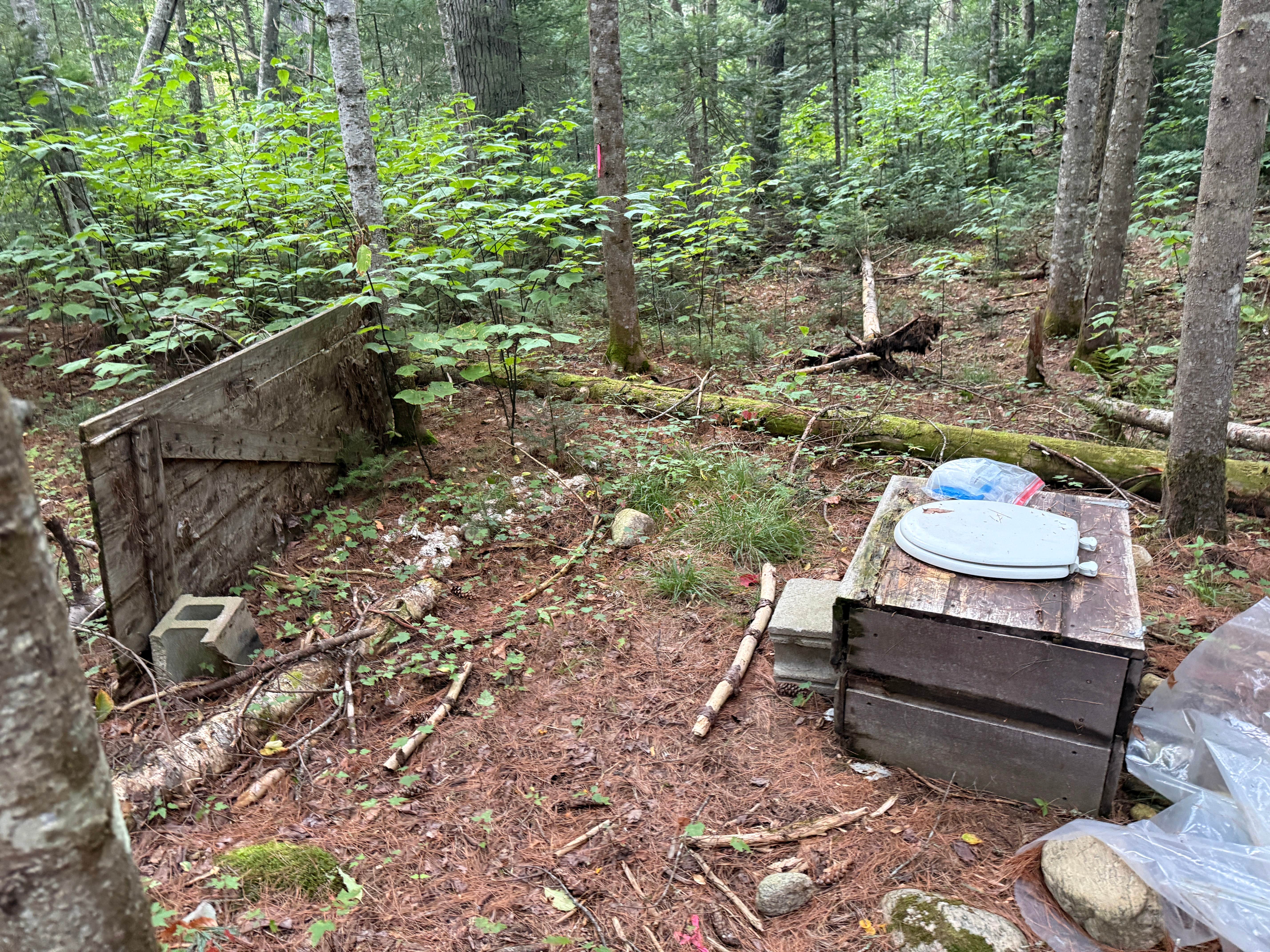 Camping near Ward Brook Campsite: Vanderwacker Mountain Wild Forest, Minerva, New York