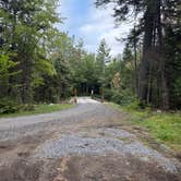 Review photo of Vanderwacker Mountain Wild Forest by Peter L., September 6, 2026