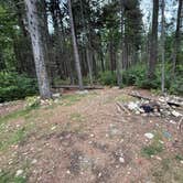 Review photo of Vanderwacker Mountain Wild Forest by Peter L., September 6, 2026