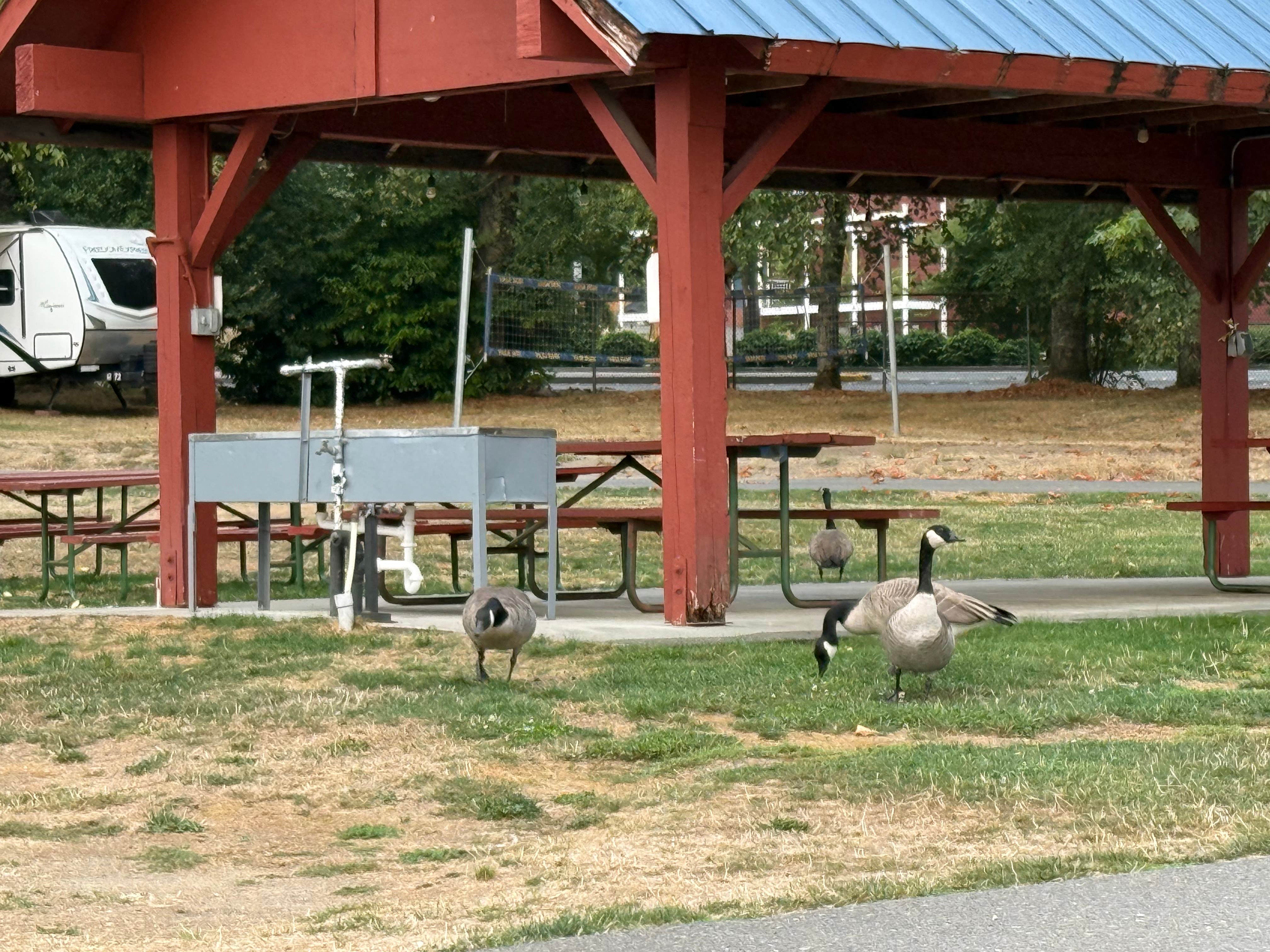 Camper-submitted photo at Vasa Park Resort near Normandy Park, WA