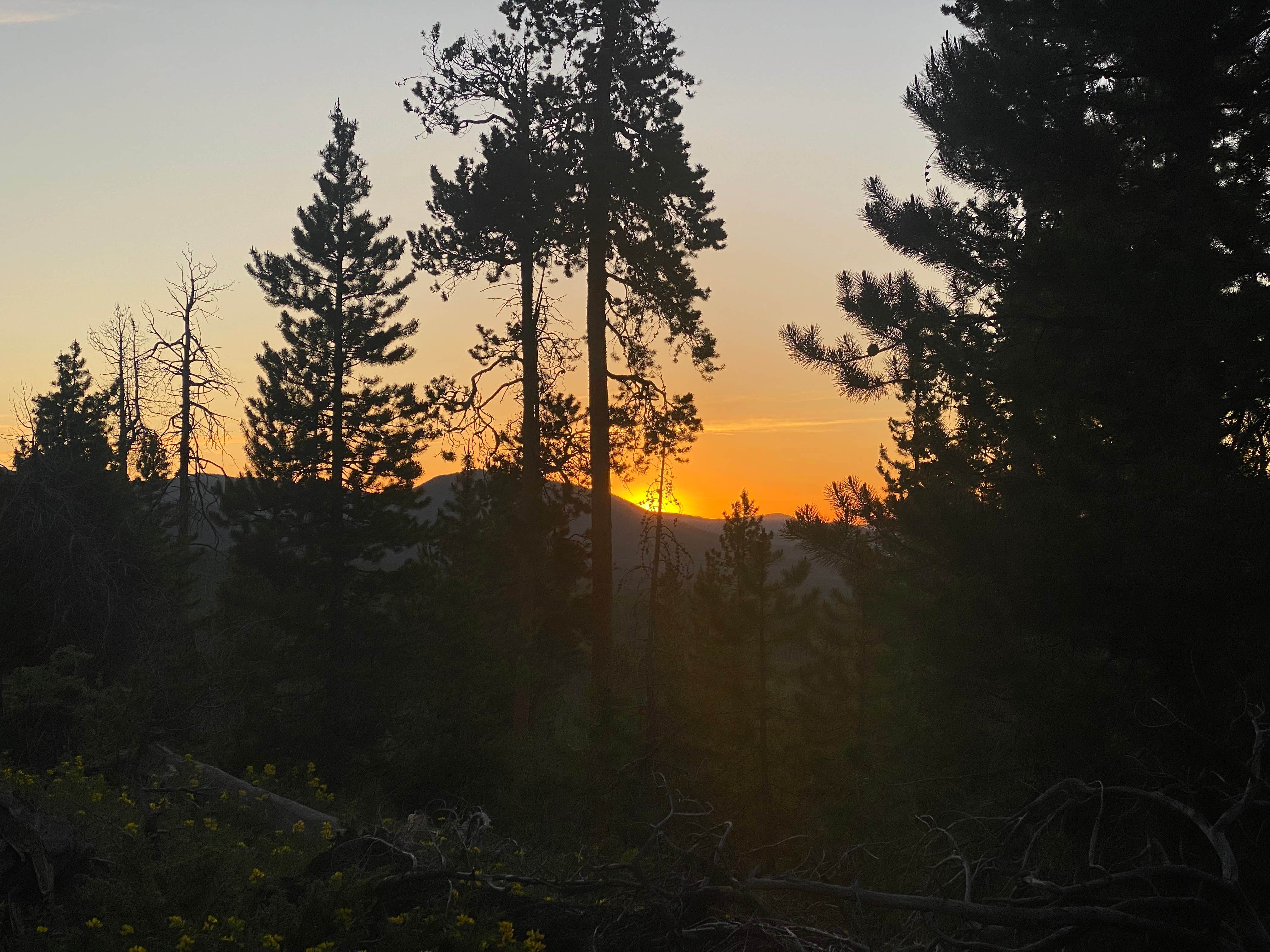 Camper-submitted photo at Vasquez Ridge Dispersed - CLOSED near Winter Park, CO