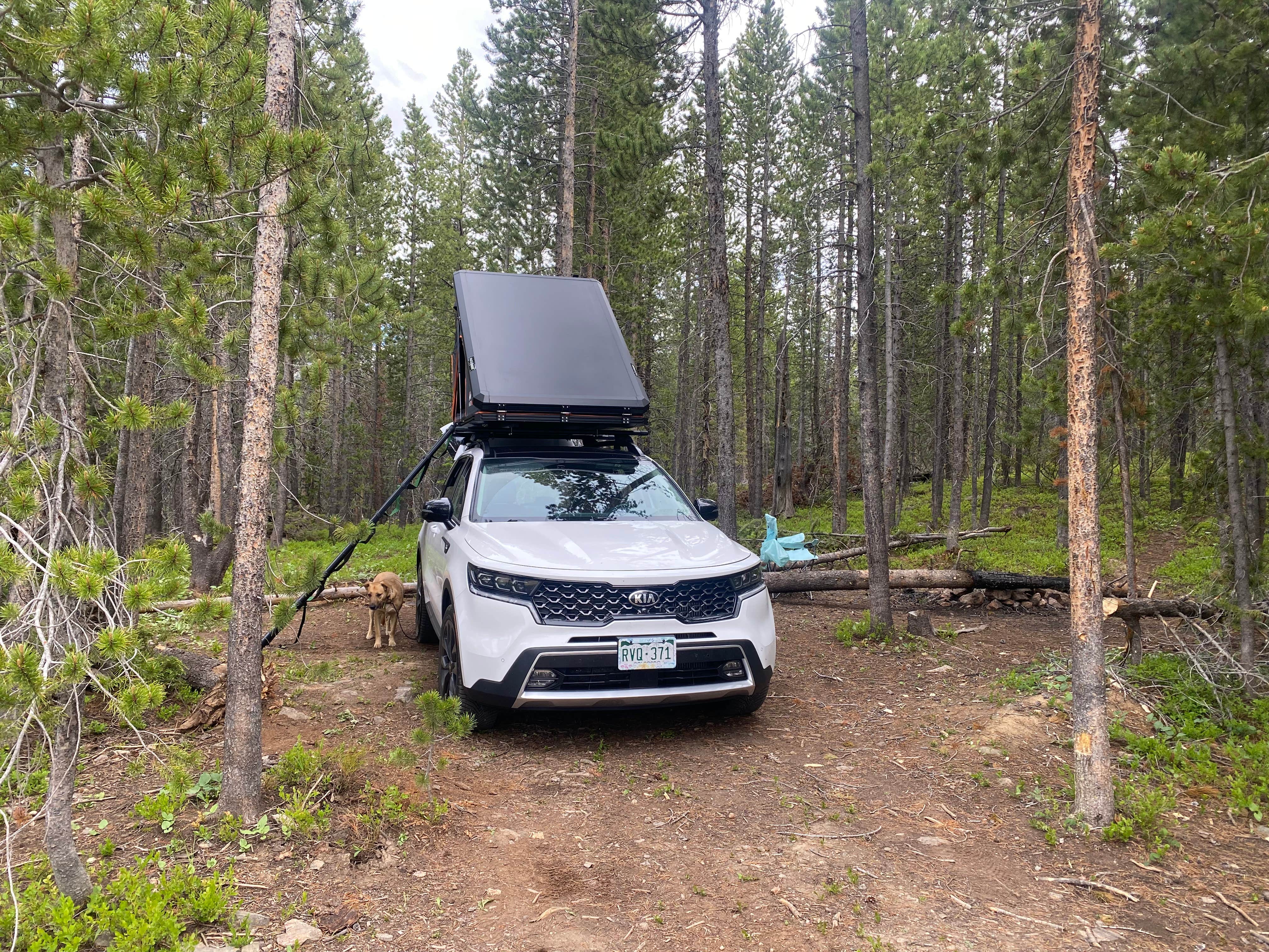 Camper-submitted photo at Vasquez Ridge Dispersed - CLOSED near Winter Park, CO