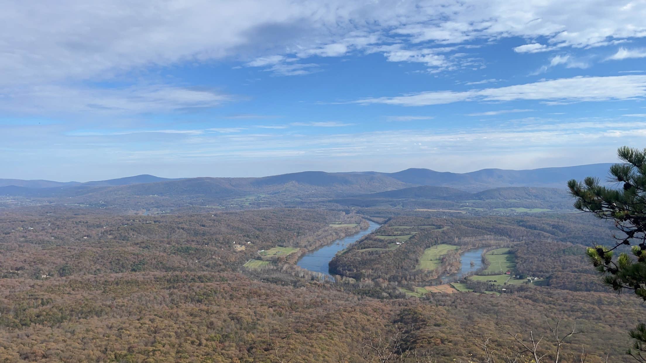 Camper submitted image from Veach Gap - GWNF - Backpacking Site - 5