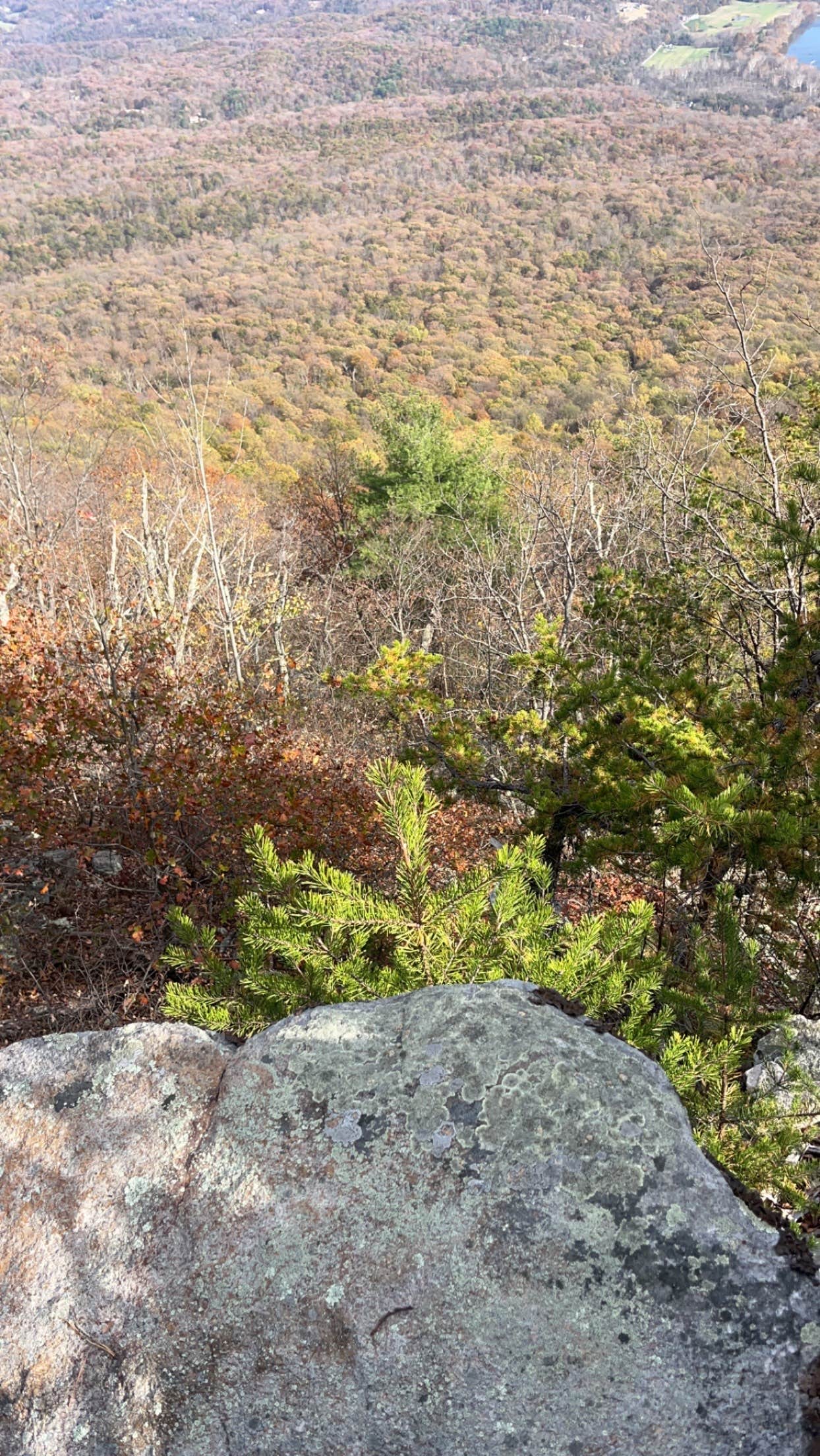 Camper-submitted photo at Veach Gap - GWNF - Backpacking Site near Rippon, WV
