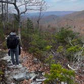 Review photo of Veach Gap - GWNF - Backpacking Site by TJ W., November 5, 2023