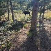 Review photo of Vedauwoo Wagon Road by chellynn , October 22, 2023