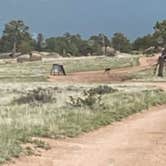 Review photo of Vedauwoo Wagon Road by Makenzie S., June 4, 2025