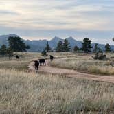 Review photo of Vedauwoo Wagon Road by chellynn , October 22, 2023