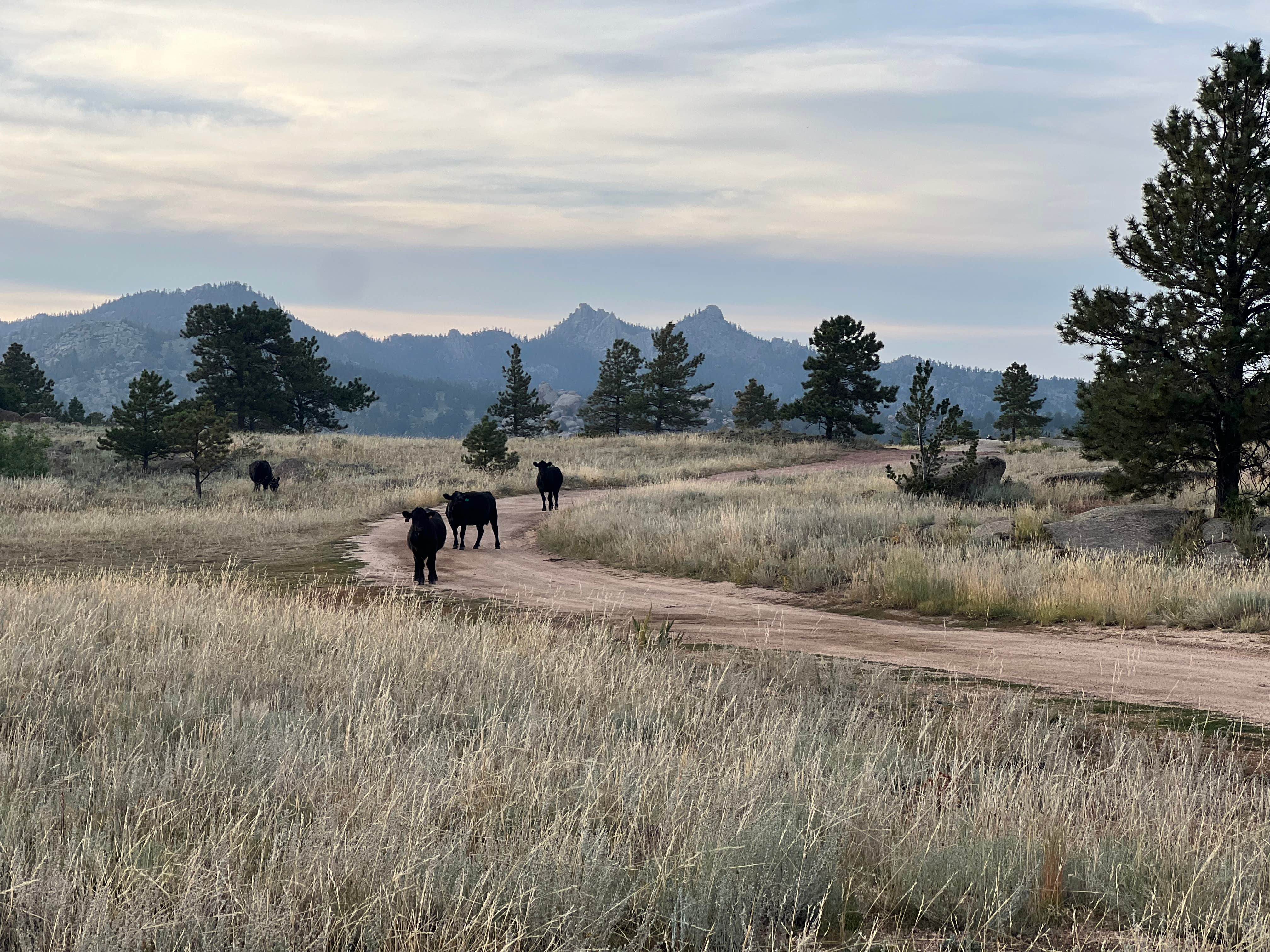 Camper submitted image from Vedauwoo Wagon Road - 3