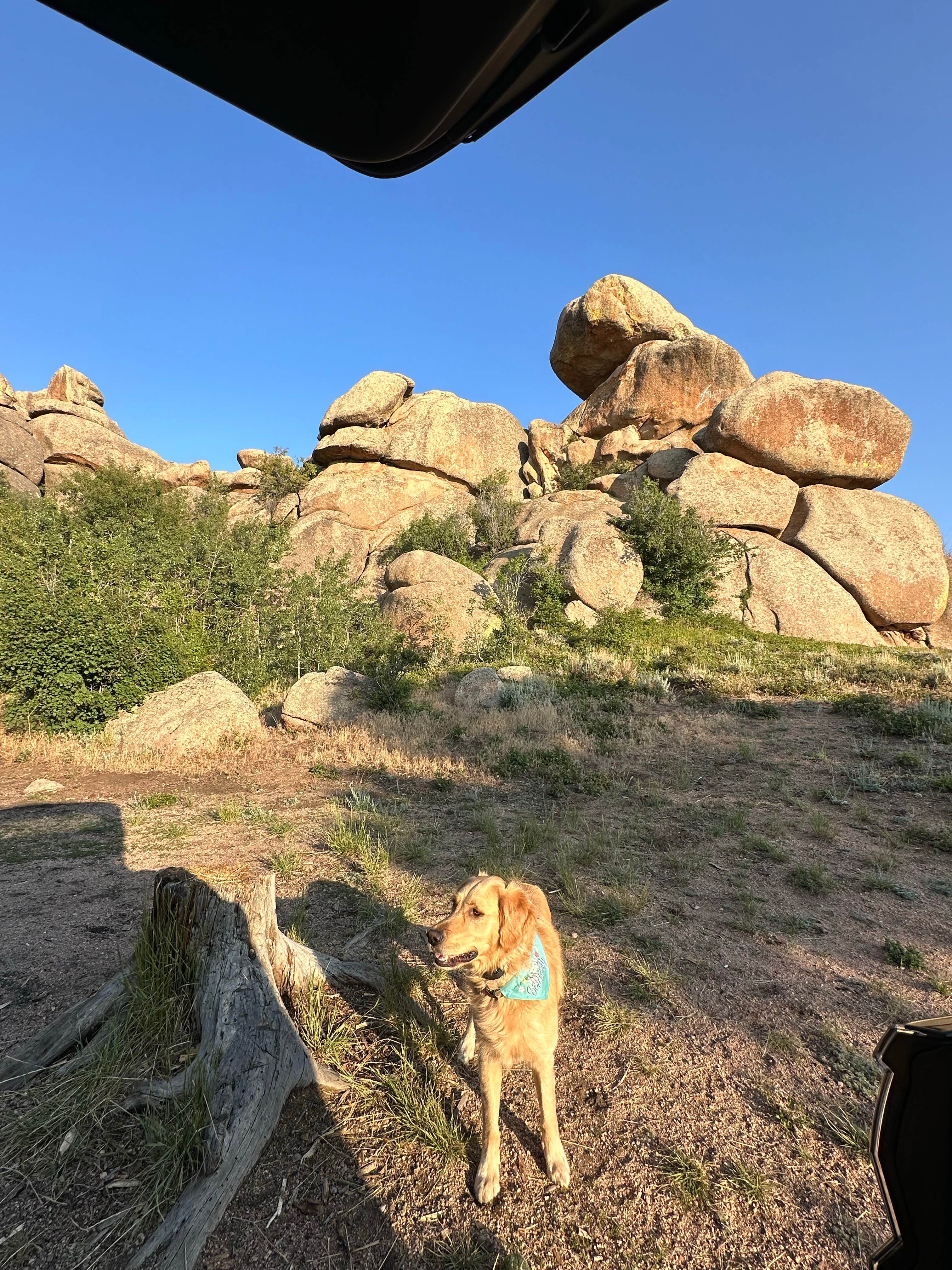 Laura C.'s photo of camping with pets at Vedauwoo Wagon Road near Laramie, WY