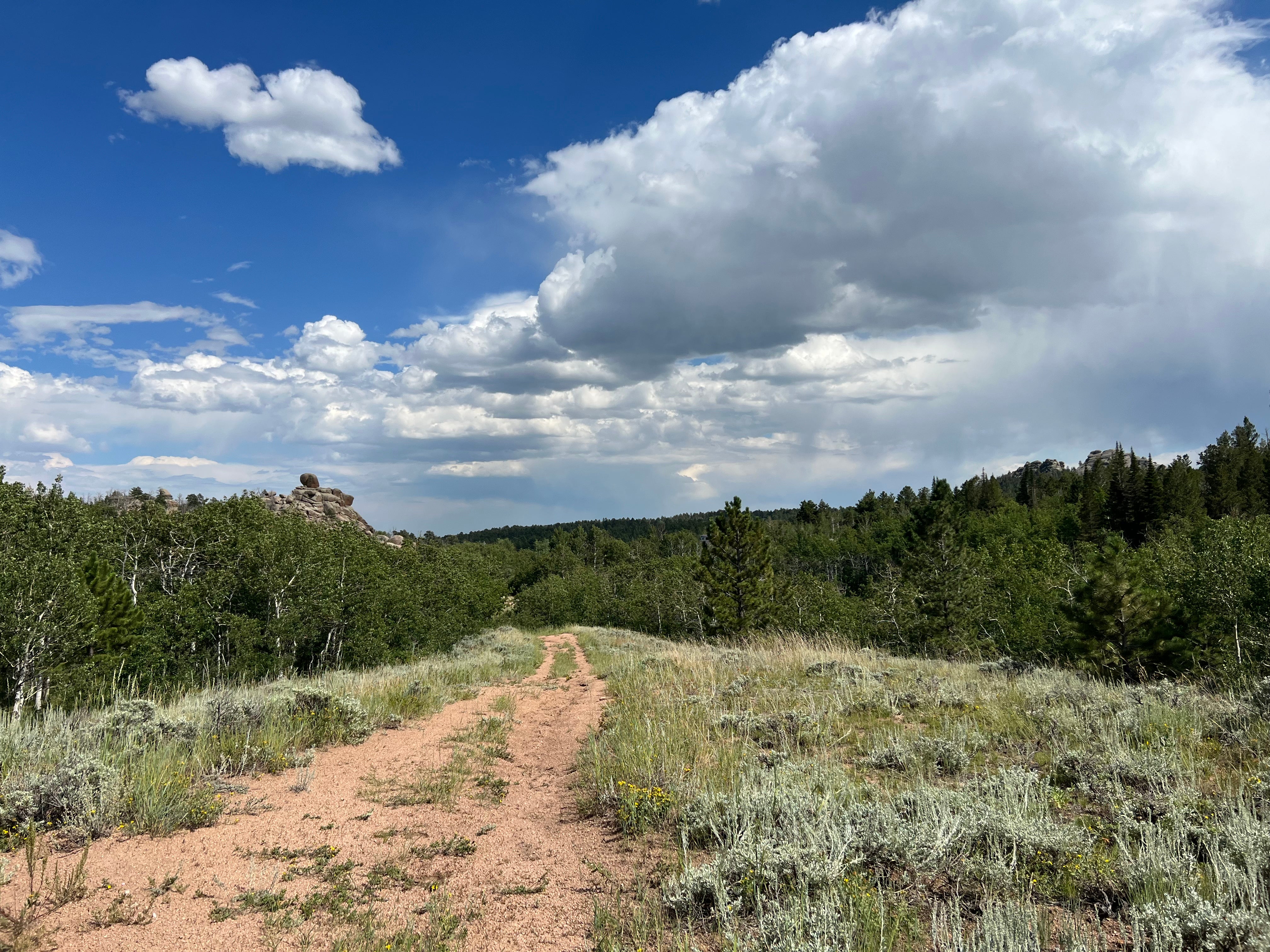 Camper submitted image from Vedauwoo Wagon Road - 5