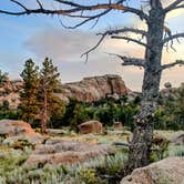 Review photo of Forest Service Road 700 Designated Dispersed Camping by Christopher Evans B., January 18, 2026