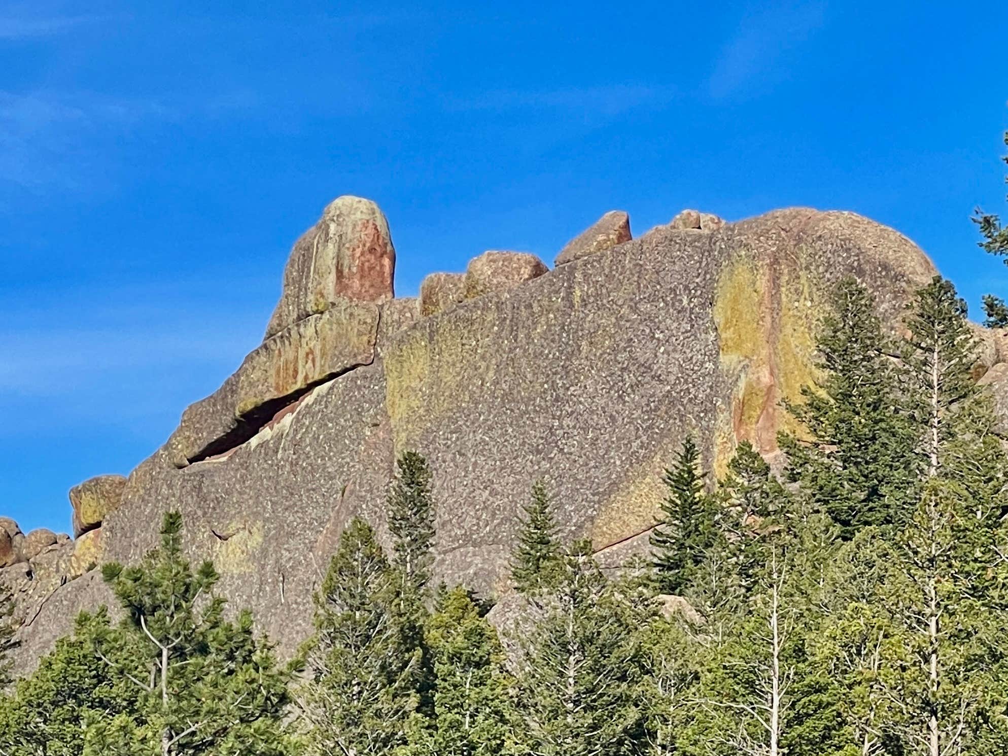 Camper-submitted photo at vedawoo campground near Medicine Bow-Routt NFs & Thunder Basin NG