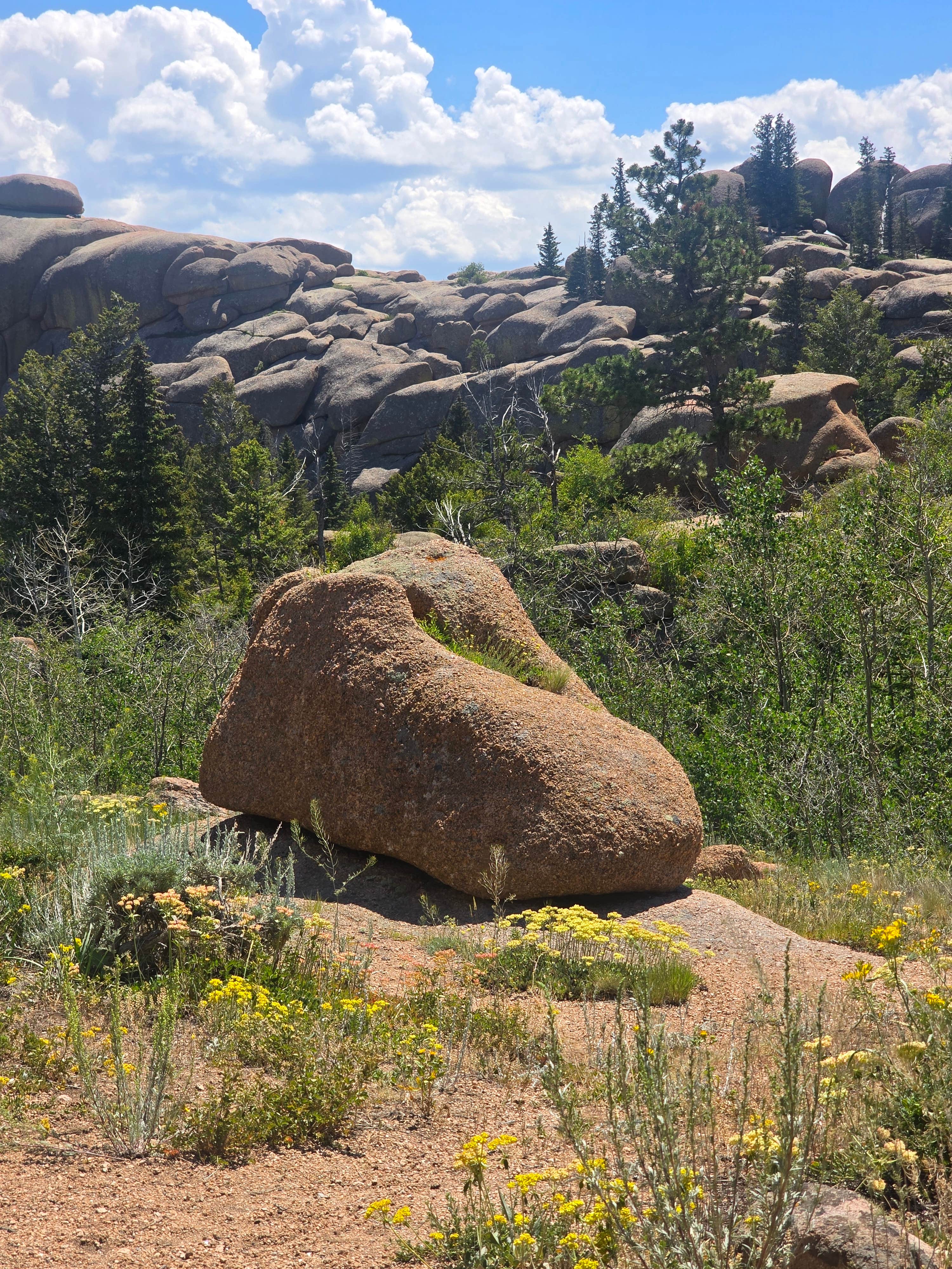 Camper-submitted photo at vedawoo campground near Buford, WY