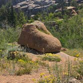 Review photo of vedawoo campground by Manuela O., July 16, 2025