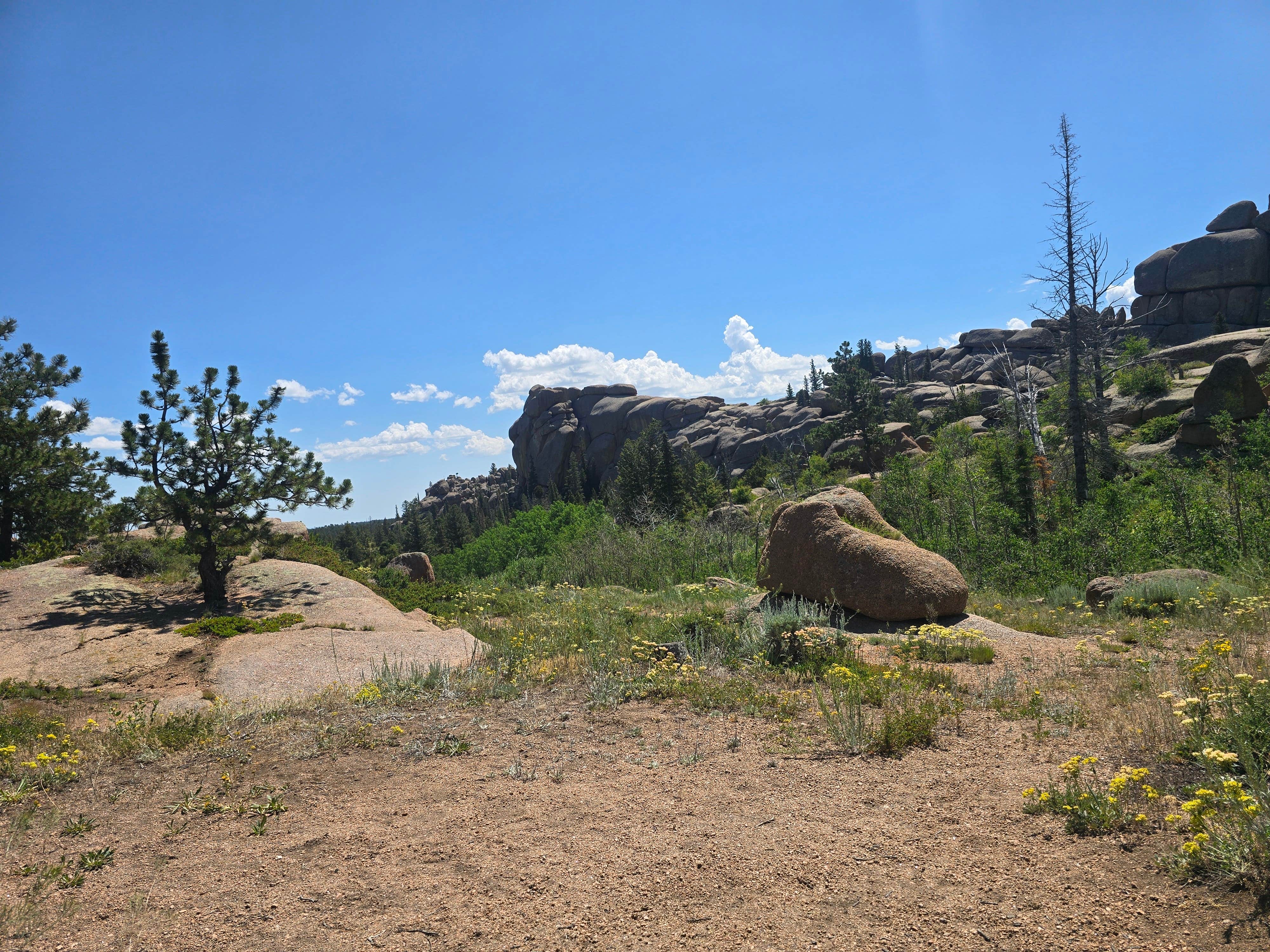 Camper-submitted photo at vedawoo campground near Buford, WY