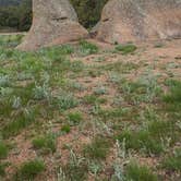 Review photo of Vedawoo Dispersed Sunset Camp by Mary S., June 5, 2025
