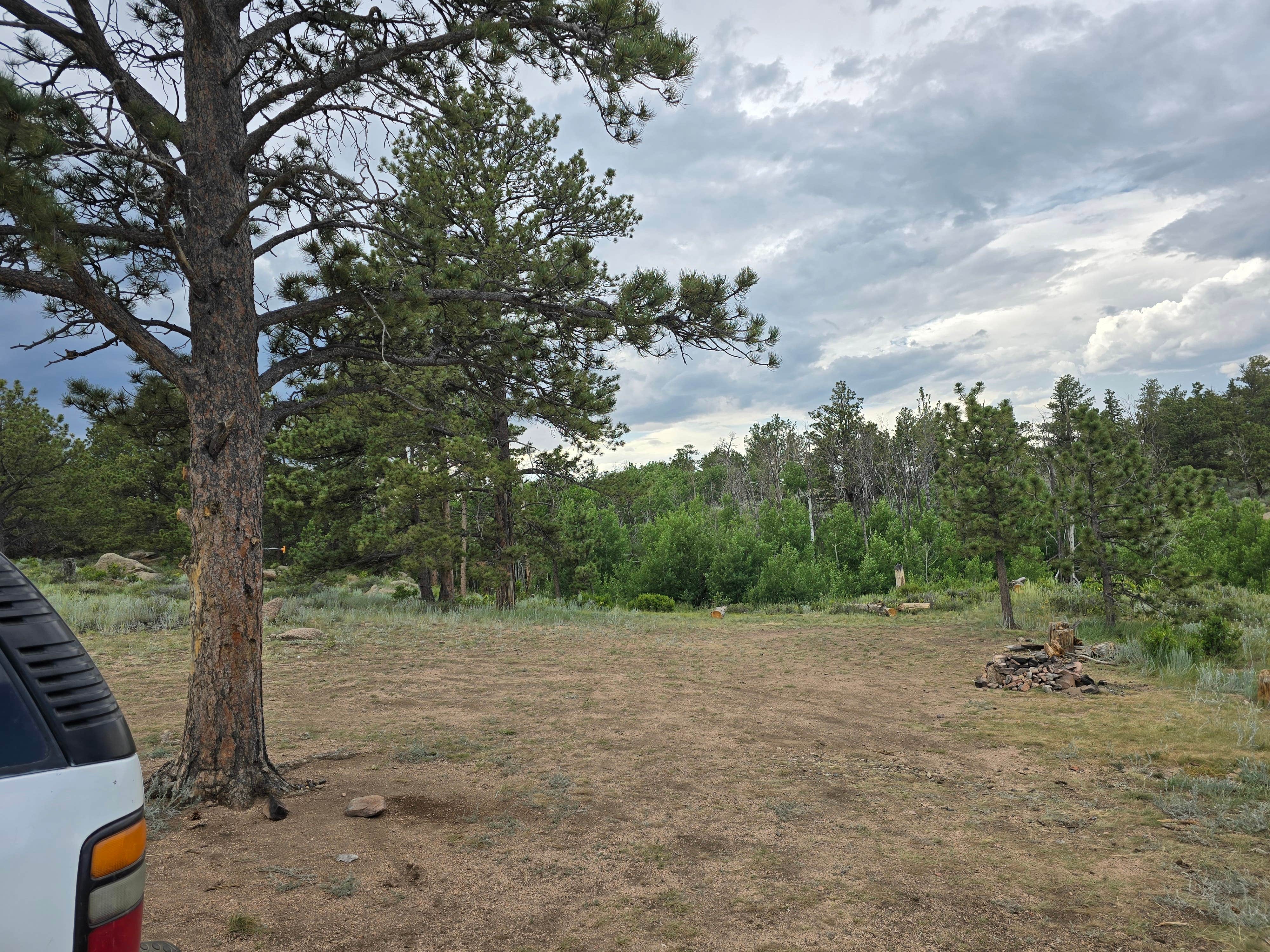 Camper submitted image from Vedawoo Dispersed Sunset Camp - 4