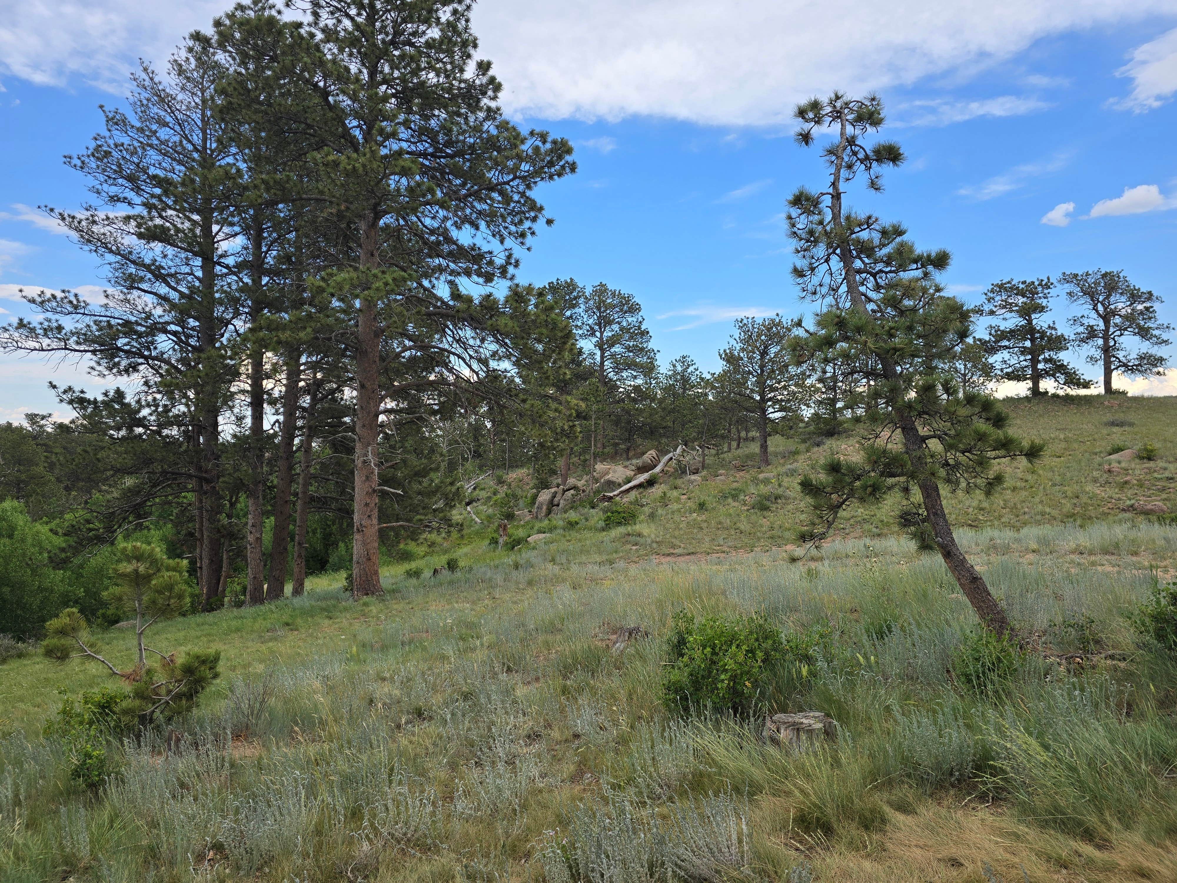 Camper-submitted photo at Vedawoo Dispersed Sunset Camp near Buford, WY