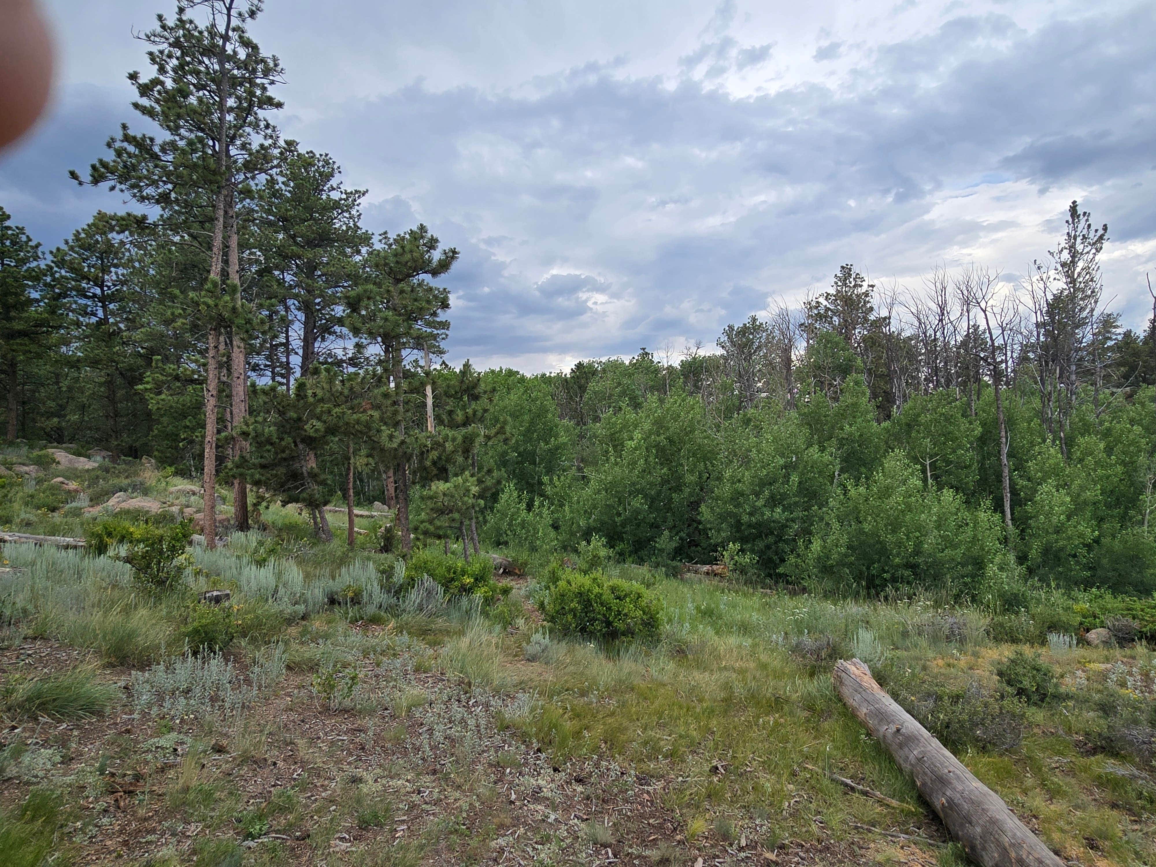 Camper-submitted photo at Vedawoo Dispersed Sunset Camp near Buford, WY