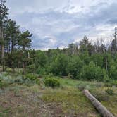 Review photo of Vedawoo Dispersed Sunset Camp by SAM , July 3, 2025