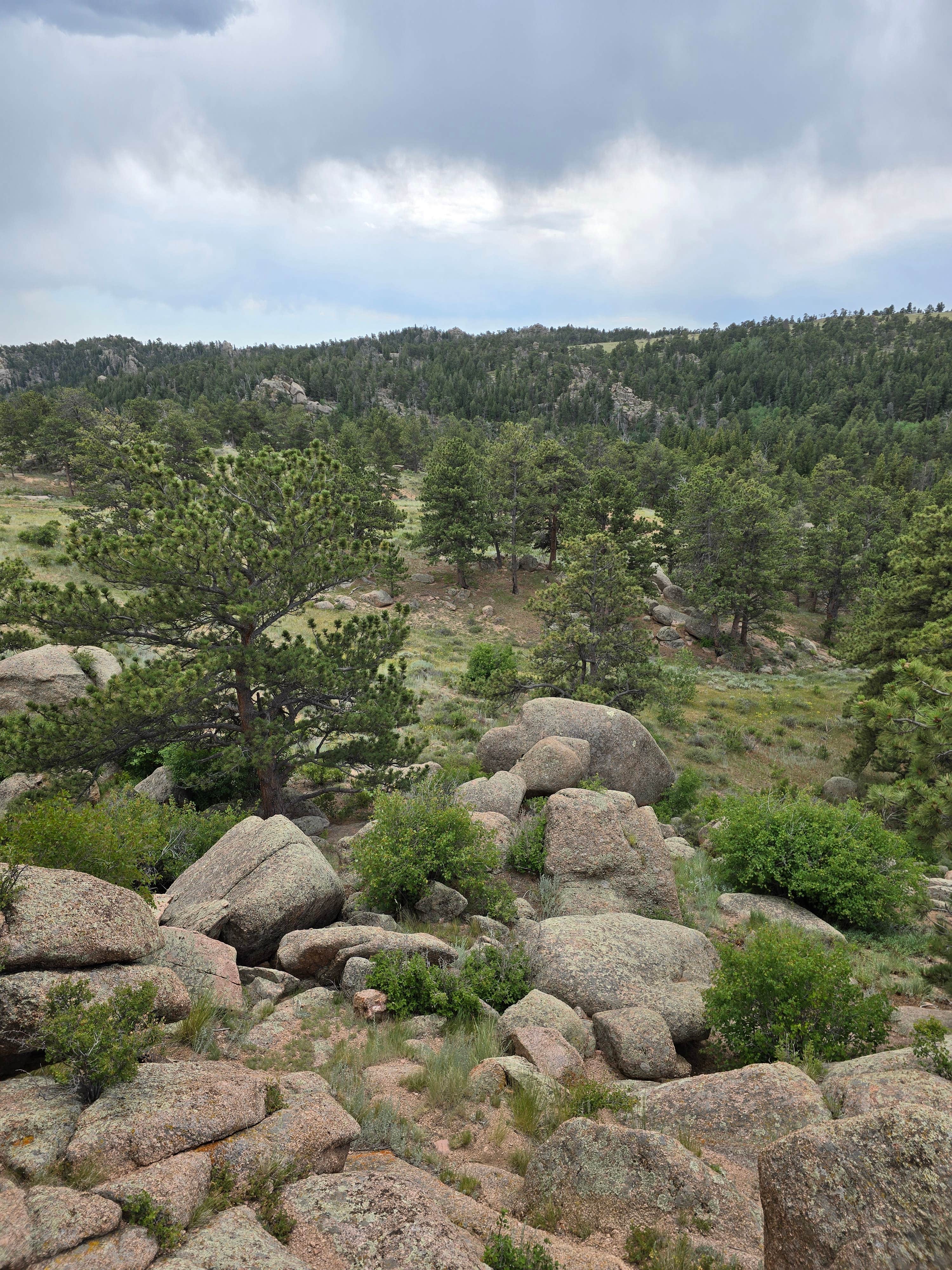 Camper-submitted photo at Vedawoo Dispersed Sunset Camp near Buford, WY