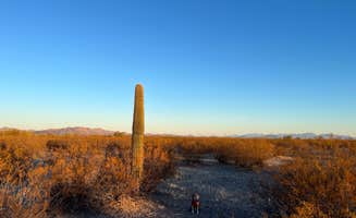 Jonathan E.'s photo of camping with pets at Vekol Valley Road near Ajo, AZ
