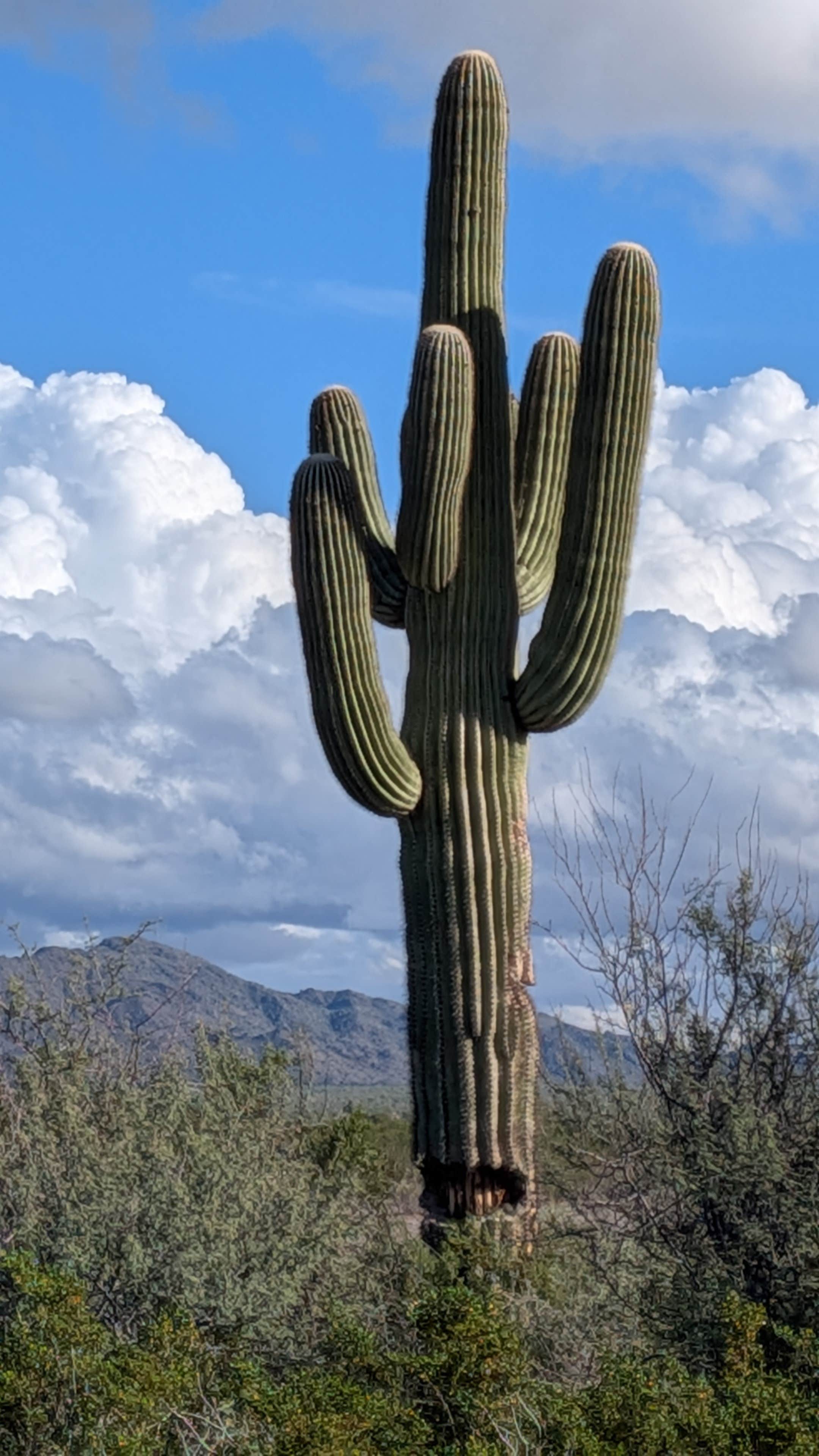 Camper-submitted photo at Vekol Valley Road near Maricopa, AZ