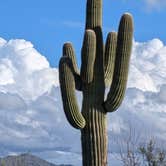 Review photo of Vekol Valley Road by Greg L., November 18, 2025