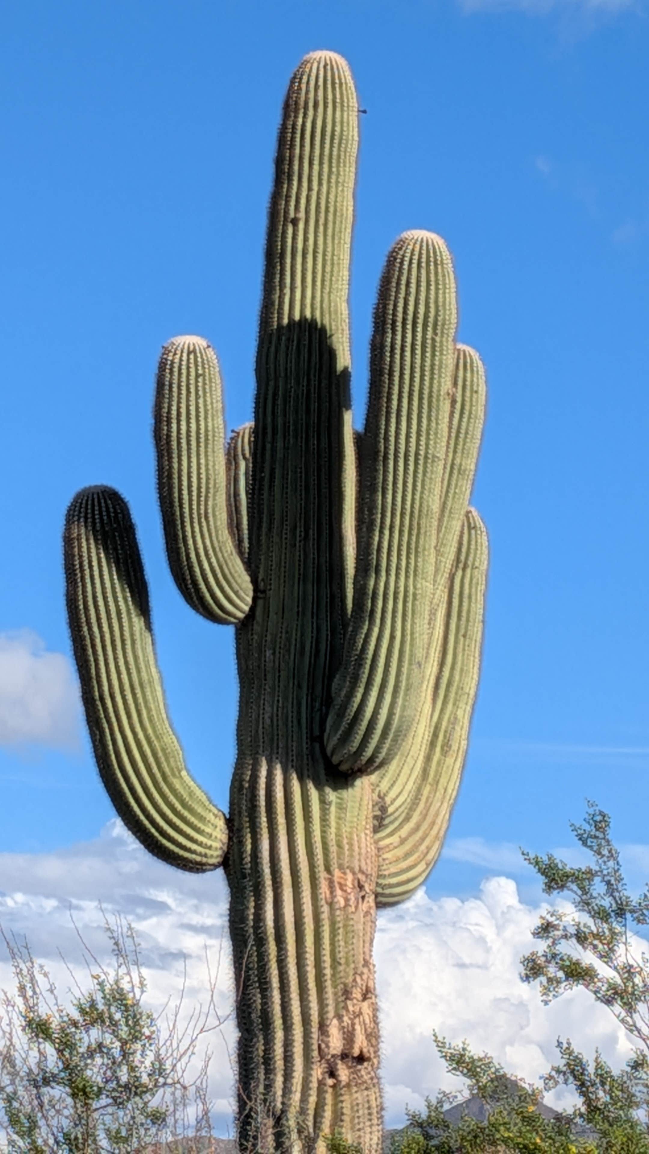 Camper-submitted photo at Vekol Valley Road near Chandler, AZ