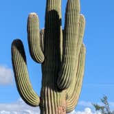 Review photo of Vekol Valley Road by Greg L., November 18, 2025