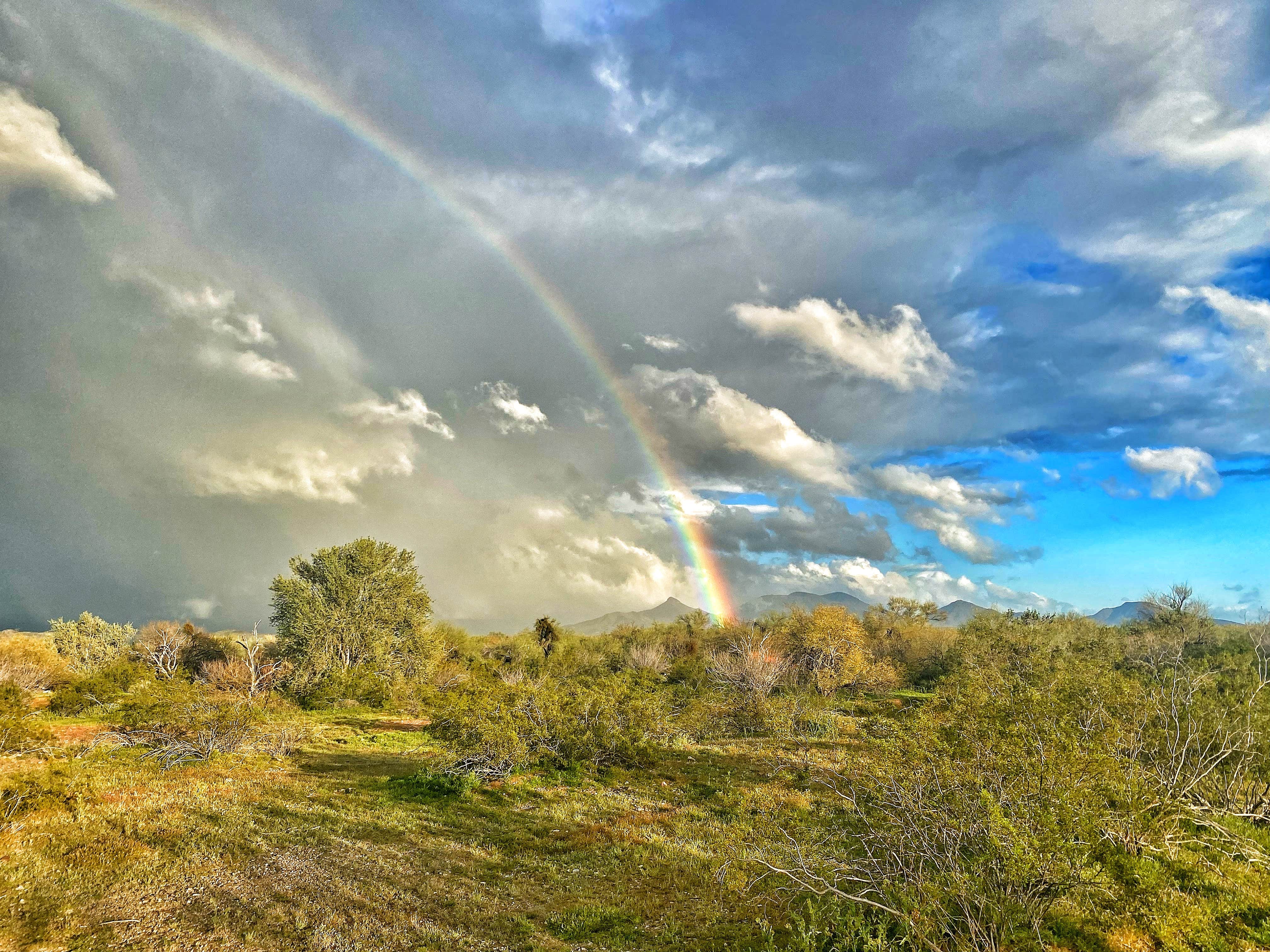 Jennifer M.'s photo of a dispersed camping area at Vekol Valley Road near Casa Grande, AZ