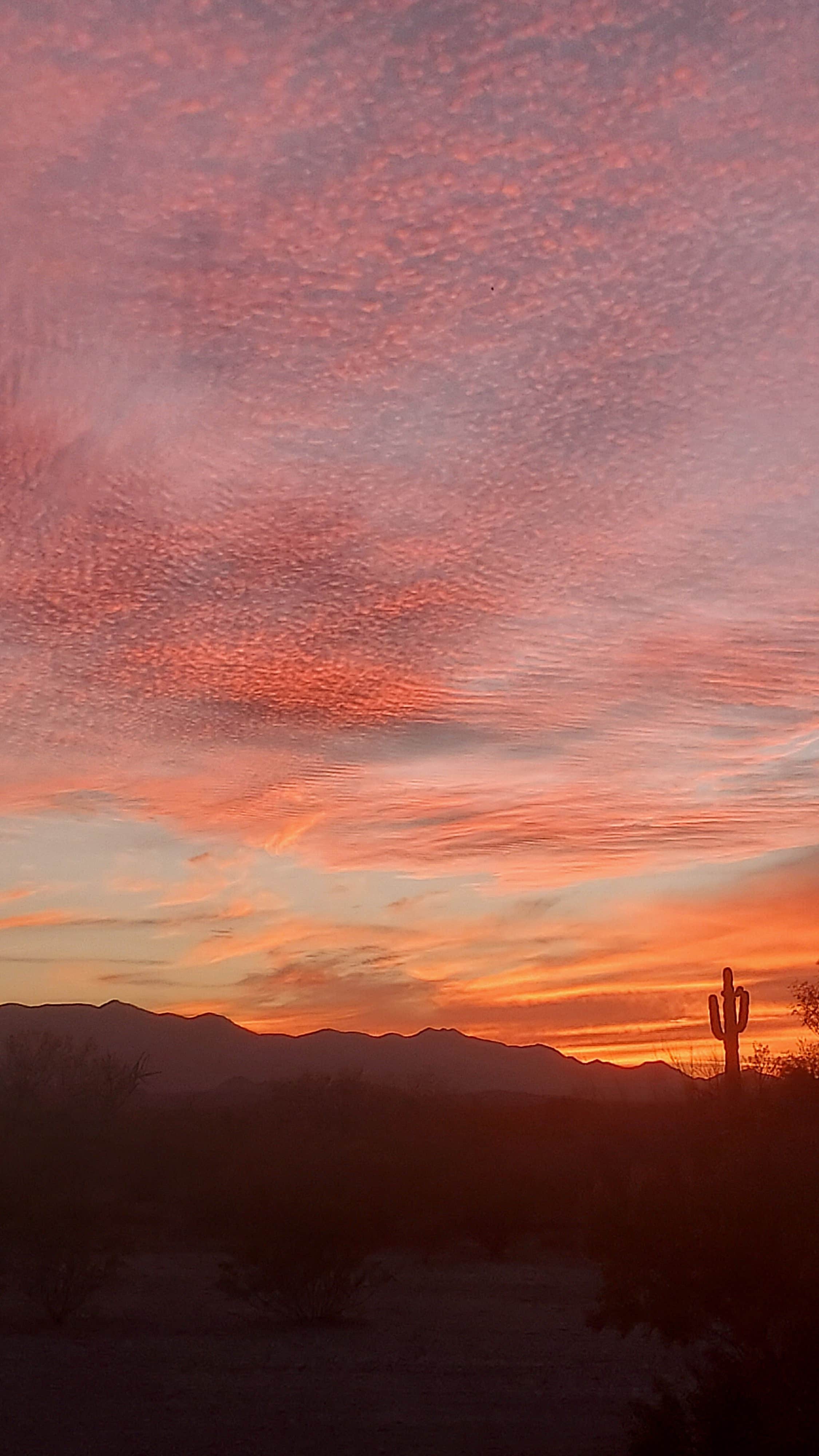 Camper-submitted photo at Vekol Valley Road near Maricopa, AZ