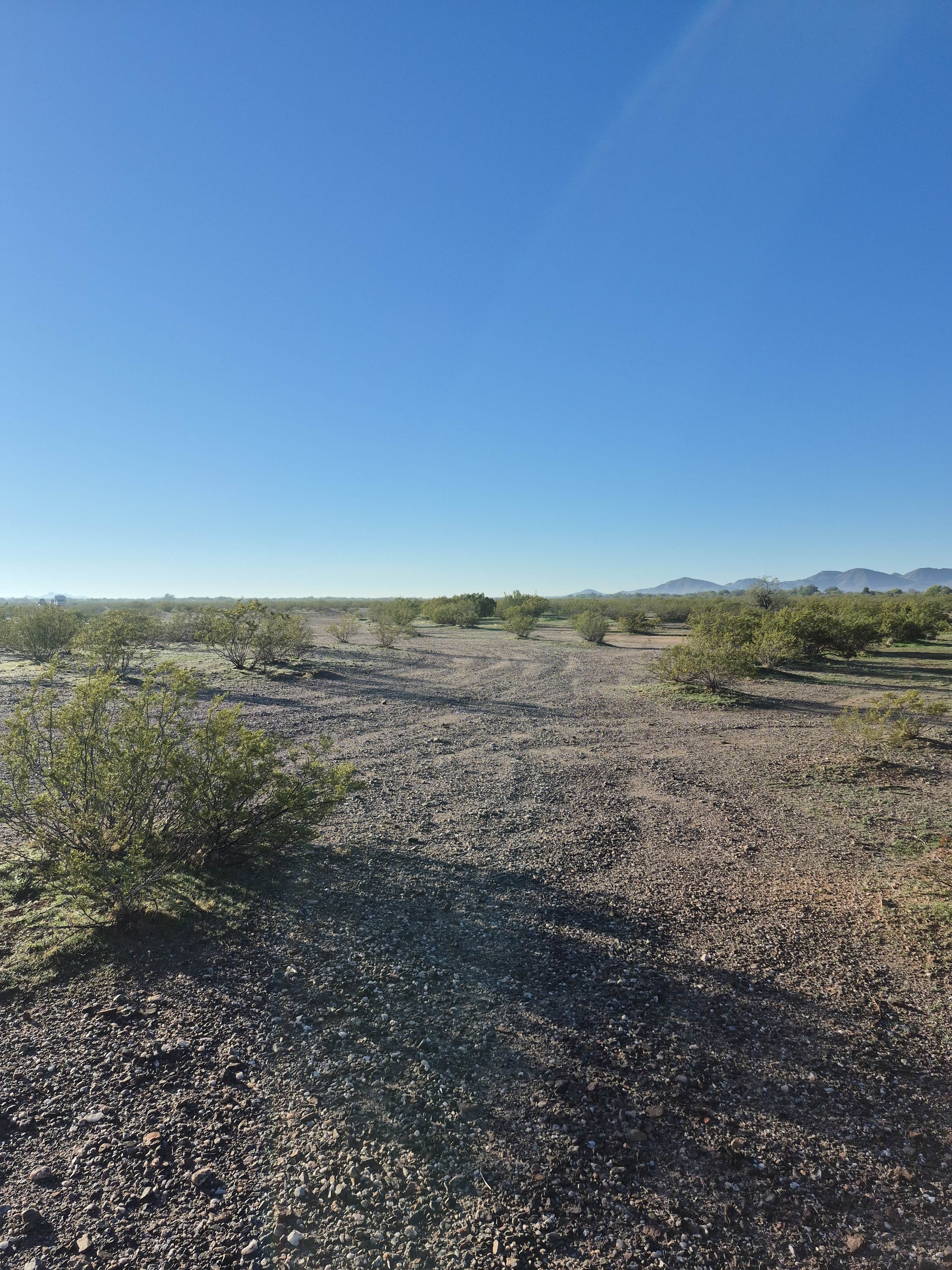 robert B.'s photo of a dispersed camping area at Vekol Valley Road near Chandler, AZ