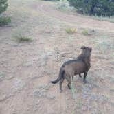 Review photo of Ventana Arch Camp by Will H., August 4, 2024