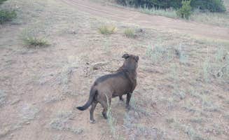 Will H.'s photo of camping with pets at Ventana Arch Dispersed Camp in Colorado