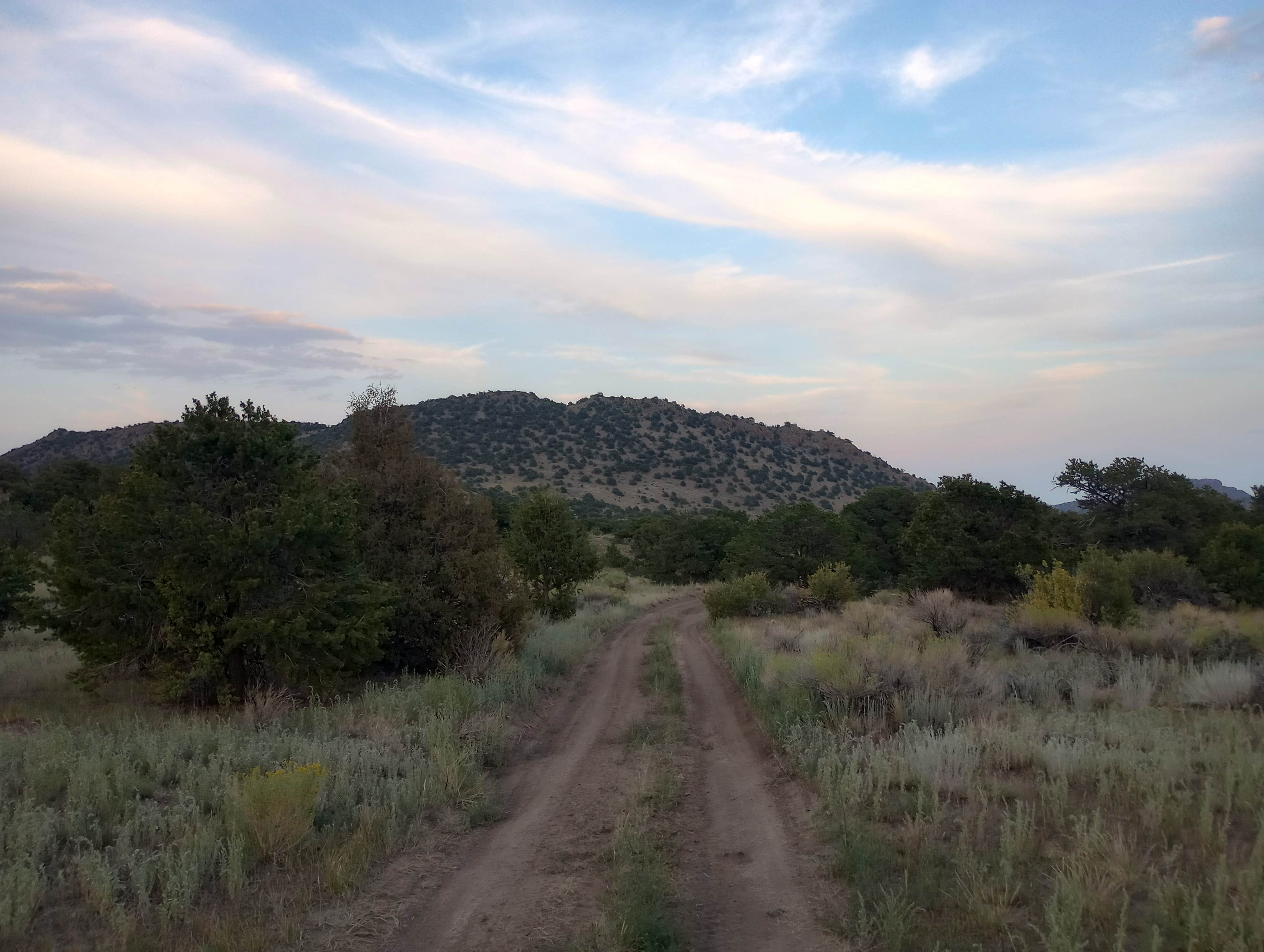 Camper submitted image from Ventana Arch Dispersed Camp - 2