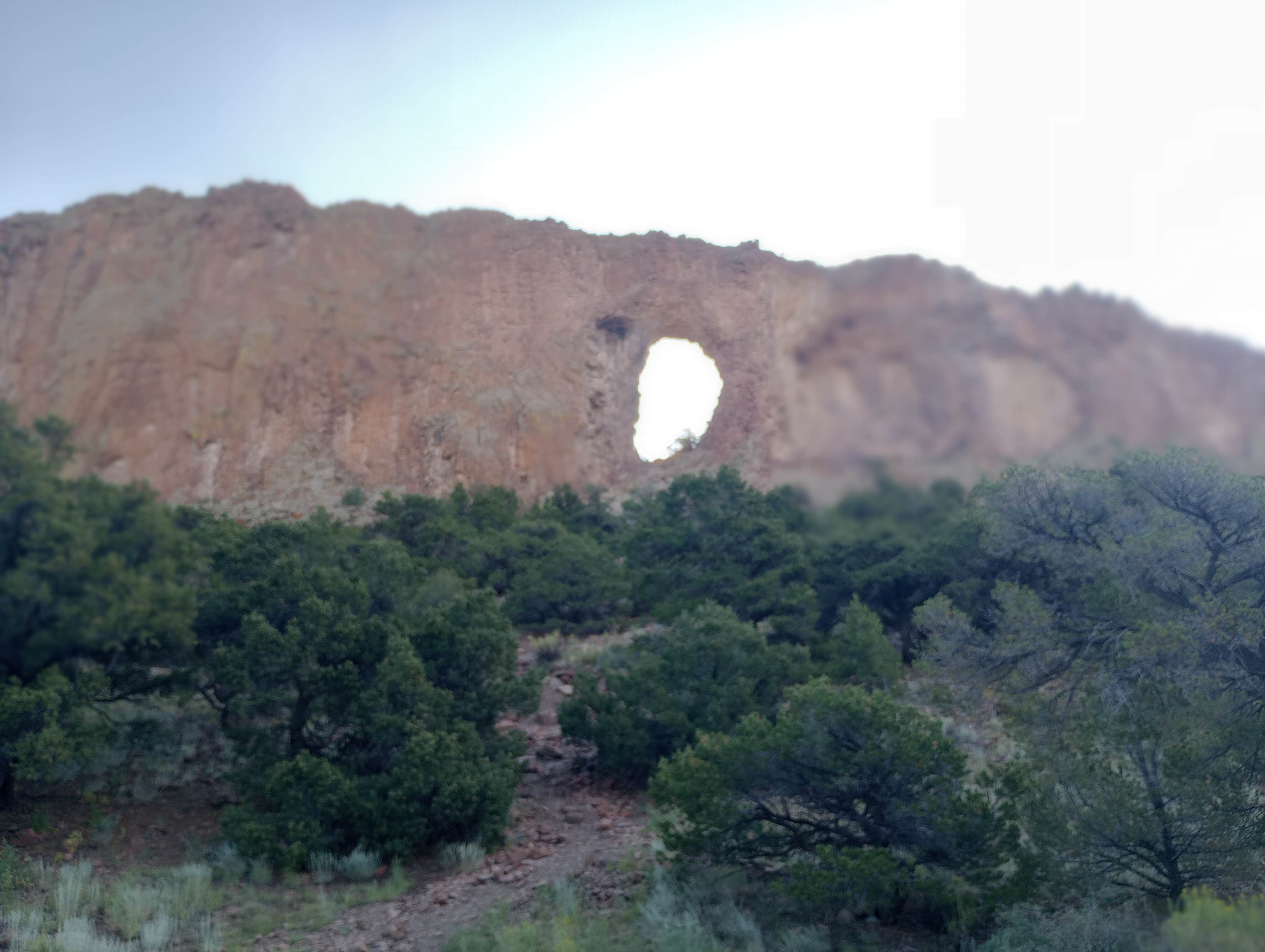 Camper submitted image from Ventana Arch Camp - 1