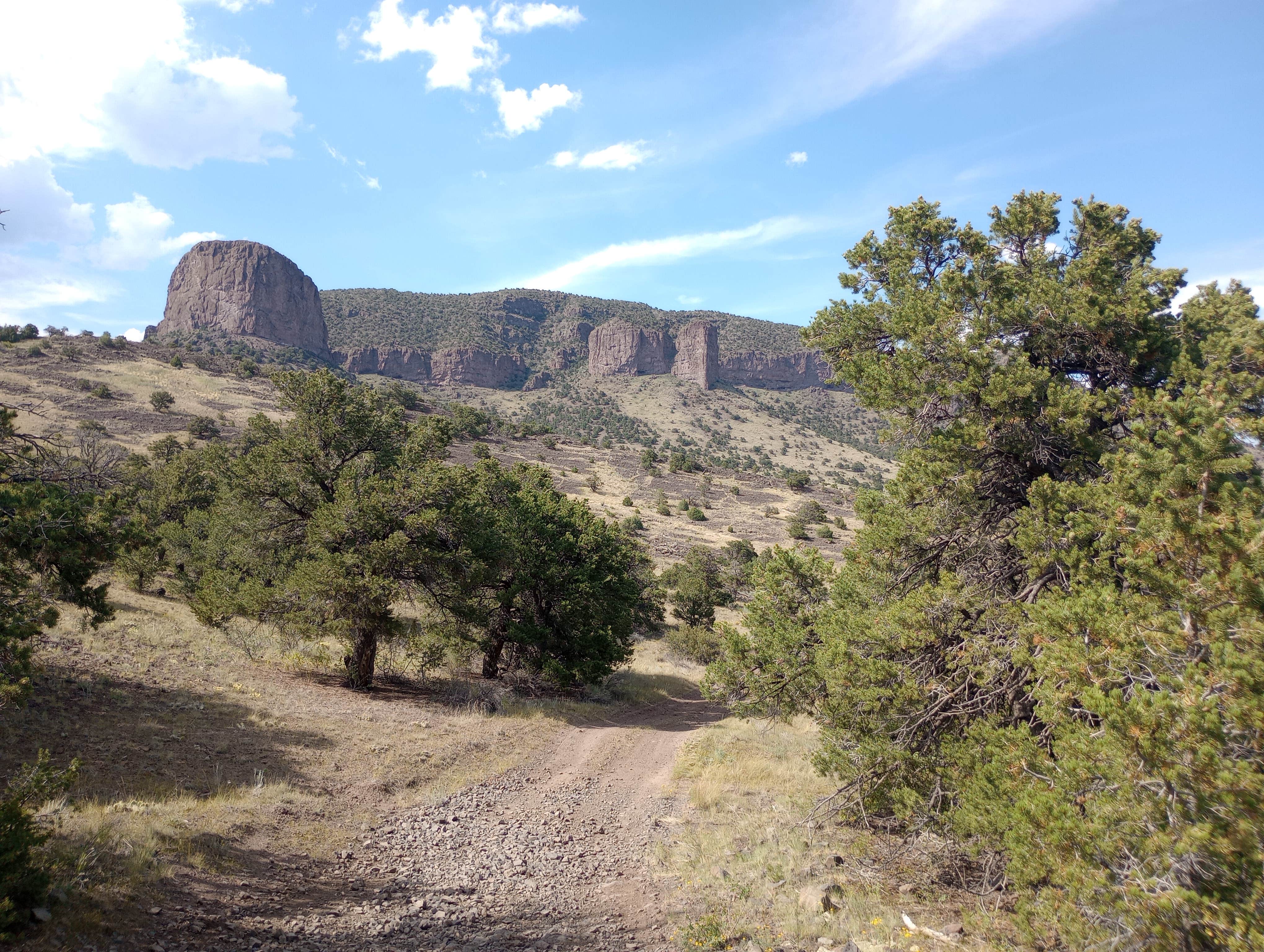 Camper submitted image from Ventana Arch Camp - 3